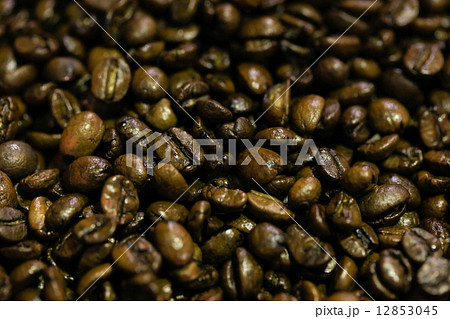 コーヒー豆 12853045