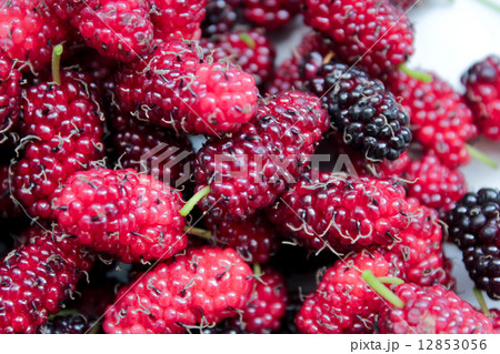 Tasty summer fruits - raspberry and blackberry Tasty summer fruits - raspberry and blackberry 12853056