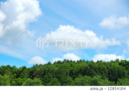 2014　自然風景 12854104