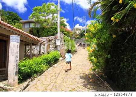 8月沖縄 金城町石畳道 8月沖縄 金城町石畳道 12854373