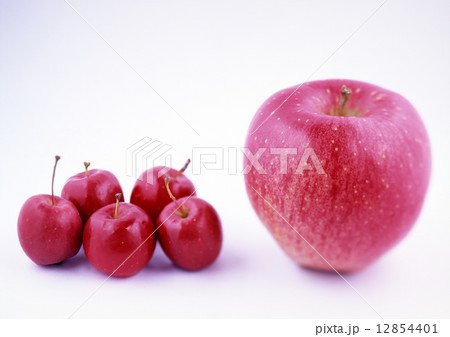 リンゴ 世界一と姫リンゴ リンゴ 世界一と姫リンゴ 12854401