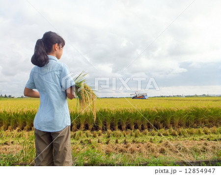 収穫の時~稲穂を抱く少女~14 収穫の時~稲穂を抱く少女~14 12854947