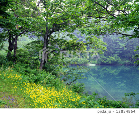 高浪の池 12854964