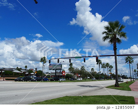 フロリダの景色 12855097
