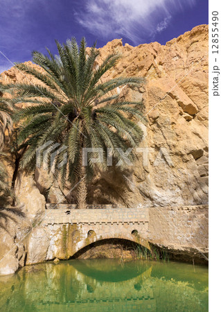 シェビカ シェビカ 12855490