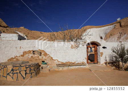 マトマタ 12855552