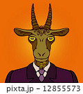 Portrait of office goat,Chinese New Year 12855573