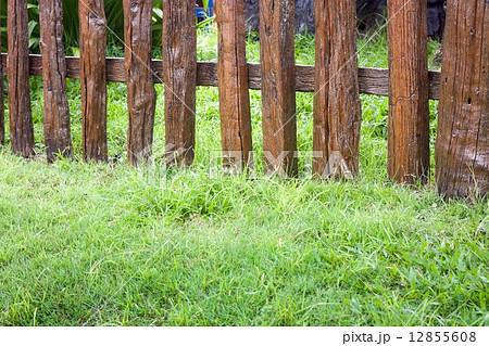 Wooden fence in garden  12855608