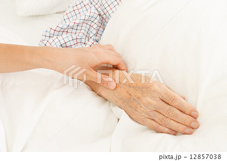 脈拍をとる看護師と老人の手 12857038