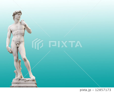 Michelangelo's David 12857173