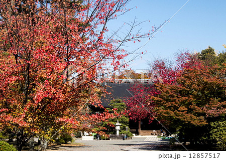 広隆寺の紅葉 広隆寺の紅葉 12857517
