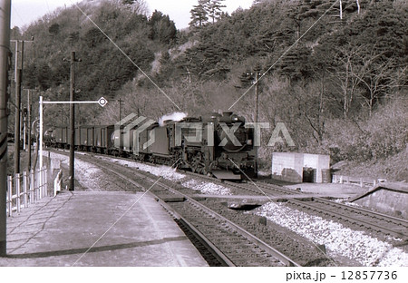 新潟今川駅に到着するD51貨物列車 昭和45年 羽越本線 新潟今川駅に到着するD51貨物列車 昭和45年 羽越本線 12857736