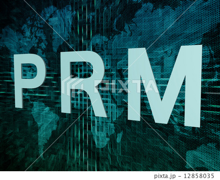 Partner Relationship Management 12858035