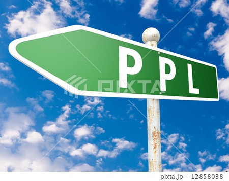 Pay per Lead 12858038