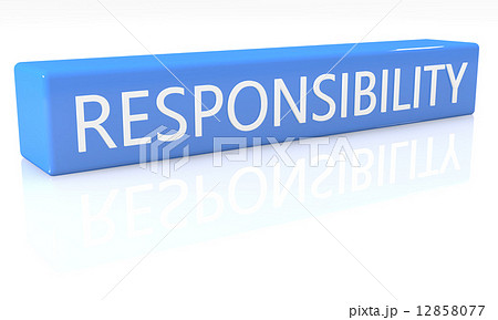 Responsibility 12858077