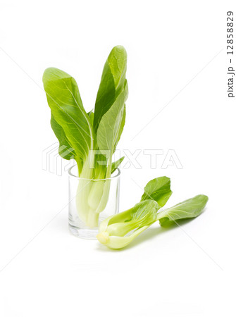 Fresh green bok choi isolated on white. Fresh green bok choi isolated on white. 12858829