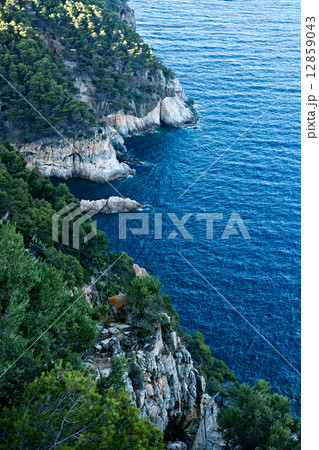 Landscape Landscape 12859043