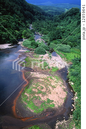 鳥海山麓の夏の渓谷 12859641