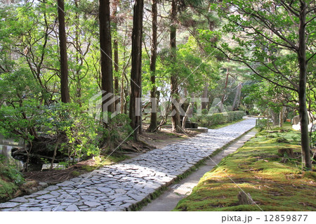 法然院 法然院 12859877