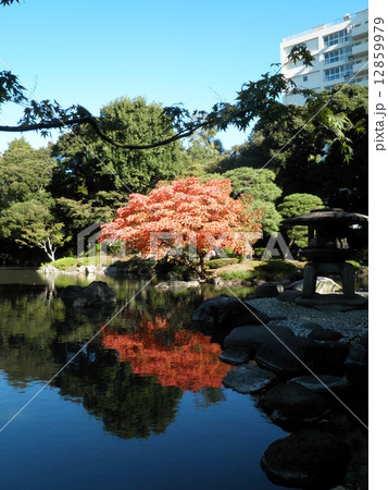 池の紅葉　 12859979