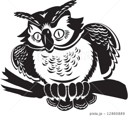 cute own on branch. black and white image. 12860889