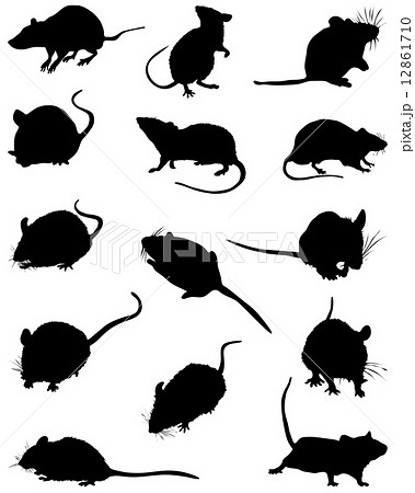 無料イラスト画像 心に強く訴えるマウス 実験 イラスト 無料