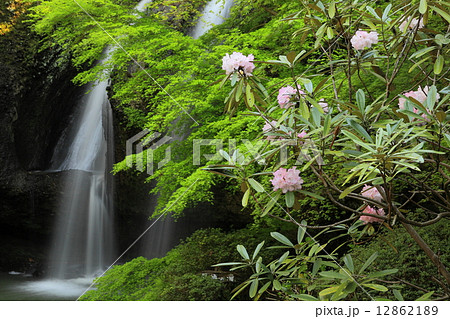 月待の滝 12862189