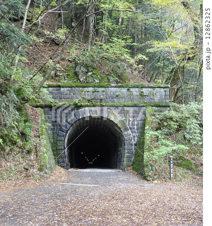 天城峠　天城山隧道 12862325