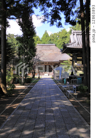 高知県南国市四国霊場第29番札所「（土佐）国分寺」本堂 12863893