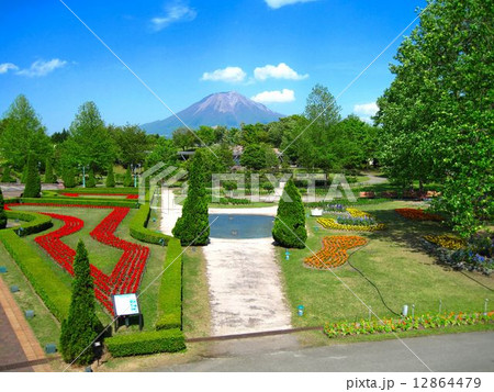 とっとり花回廊 12864479