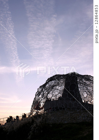 六甲枝垂れ  12864853