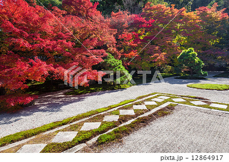 秋の天授庵 12864917