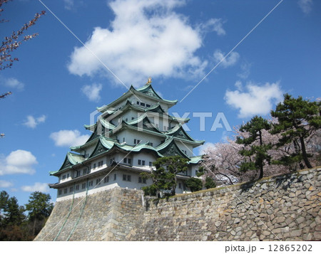名古屋城と桜 12865202