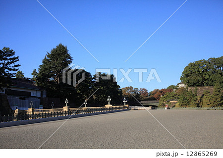皇居正門石橋と二重橋 12865269