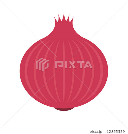 赤タマネギ 12865529