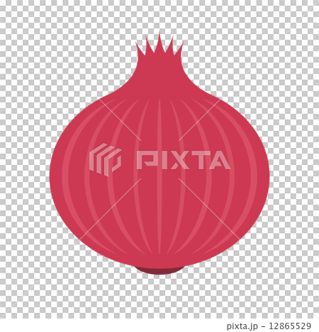 赤タマネギ 12865529