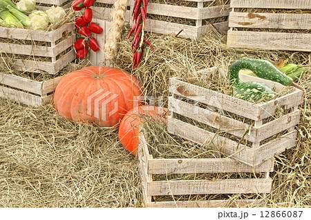 Autumn Composition With Large Pumpkin in Straw Background. Autumn Composition With Large Pumpkin in Straw Background. 12866087
