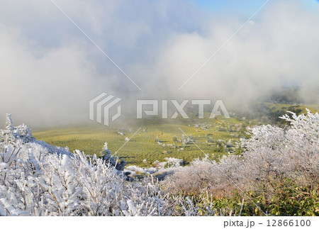 霧氷瓶ヶ森　（愛媛県瓶ヶ森） 12866100