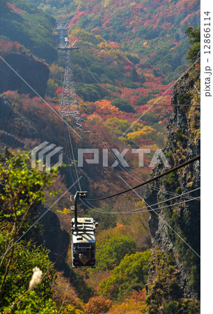 小豆島寒霞渓の紅葉 12866114