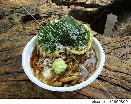 わさび天ぷらそば 12866309