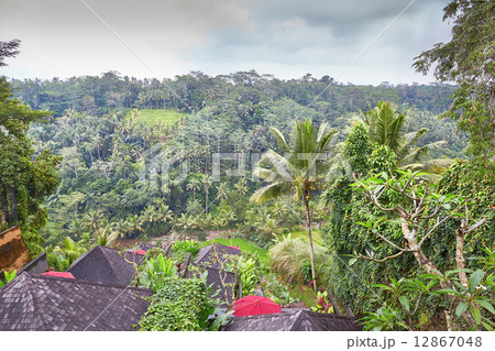 Wooden bulgalows on a hill on Bali, Indonesia 12867048