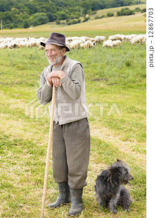 Old Sheperd near his flock Old Sheperd near his flock 12867703