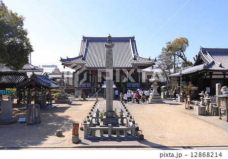 四国霊場第55番札所「別宮山 金剛院 南光坊」本堂と薬師堂 12868214