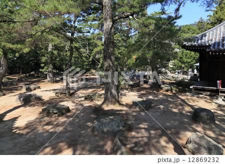 四国霊場第80番札所「讃岐国分寺」境内に残る奈良時代、創建当時の金堂の礎石 12869232