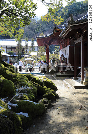 冬の四国霊場第69番札所「観音寺」大師堂とお遍路さん 冬の四国霊場第69番札所「観音寺」大師堂とお遍路さん 12869254