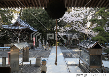 春の四国霊場第67番札所「大興寺」本堂から境内を見る 春の四国霊場第67番札所「大興寺」本堂から境内を見る 12869273