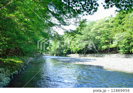 伊勢神宮　五十鈴川 12869956