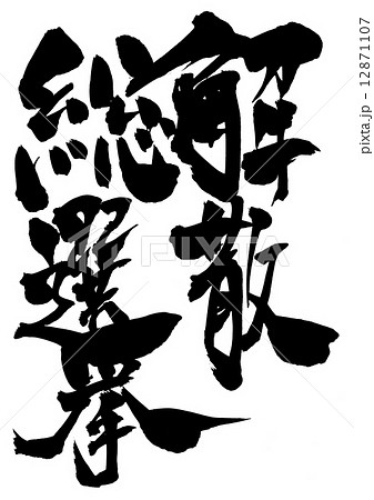 解散総選挙・・・文字 12871107