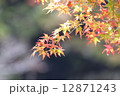 香嵐渓の紅葉 12871243