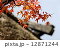 香嵐渓の紅葉 12871244